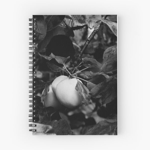 Item preview, There are good and bad apples you know bw designed and sold by Jouko Lehto Photography.