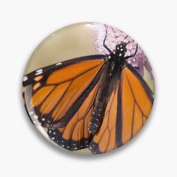 Item preview, Butterfly magic designed and sold by Steve Chapple.