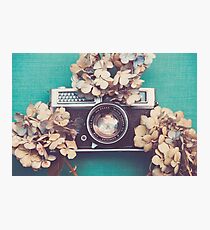 Kamera & Hortensie Fotodruck