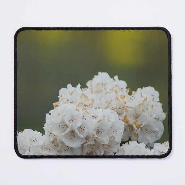 Item preview, White Rhododendron designed and sold by DeborahMcGrath.
