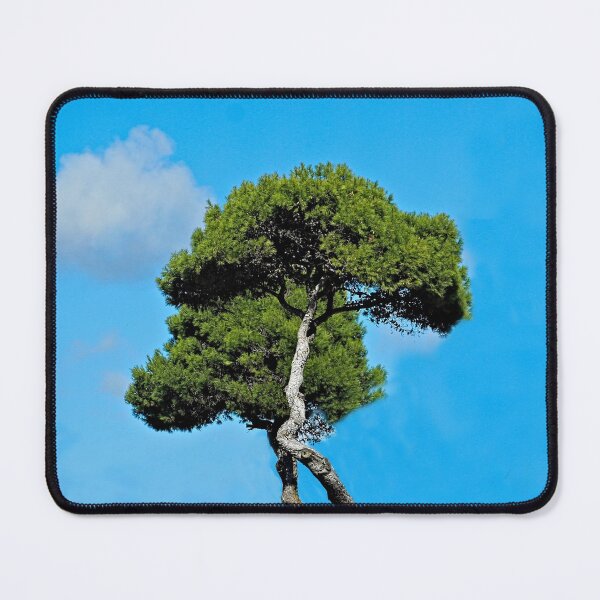 Item preview, Mediterranean Umbrella Pine trees and Cloud Blue Sky designed and sold by worldways.