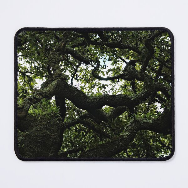 Item preview, Old Tree Gnarled Branches Pattern designed and sold by worldways.