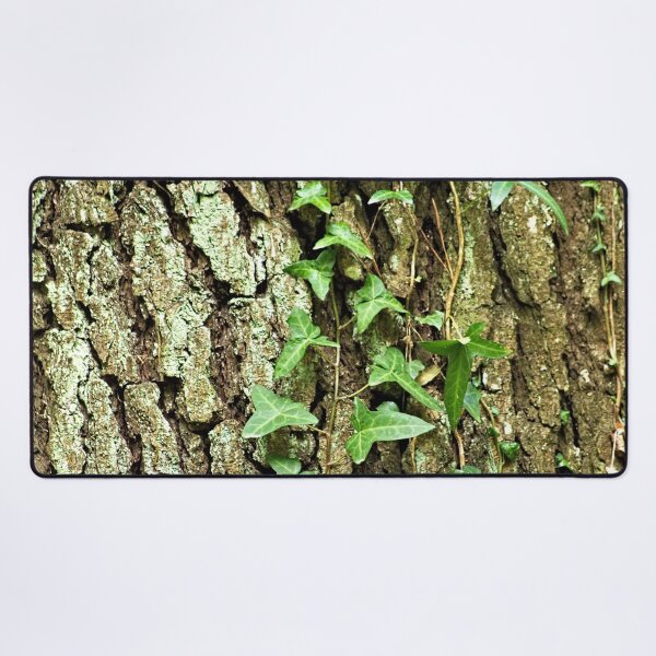 Item preview, Ivy Plant Tree Bark Texture Closeup designed and sold by worldways.