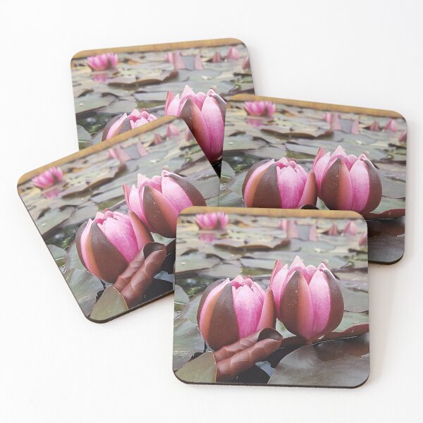 Item preview, Water Lily Close Up designed and sold by DesignMore21.