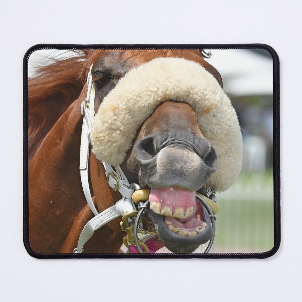 Horse laughing Mouse Pad