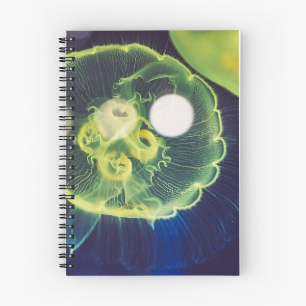 Item preview, Astonished designed and sold by OrionPhotograph.