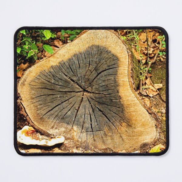 Item preview, Old Pine Tree Stub  Wood Mushroom designed and sold by worldways.