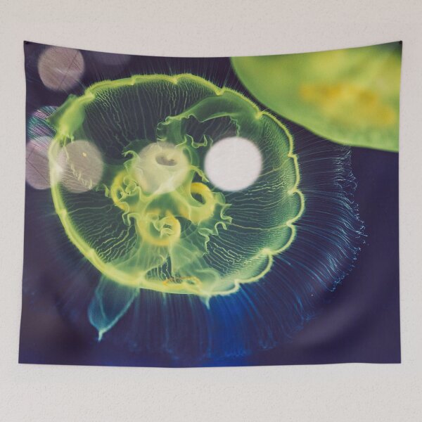 Item preview, Astonished designed and sold by OrionPhotograph.