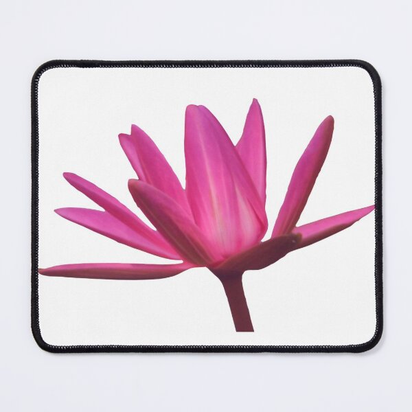 Item preview, Beautiful Big Lotus Flower-minimal designed and sold by NikitaAg.