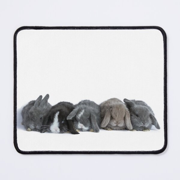 Item preview, Five In A Row - Bunny Rabbits designed and sold by Jane Stanley Photography.