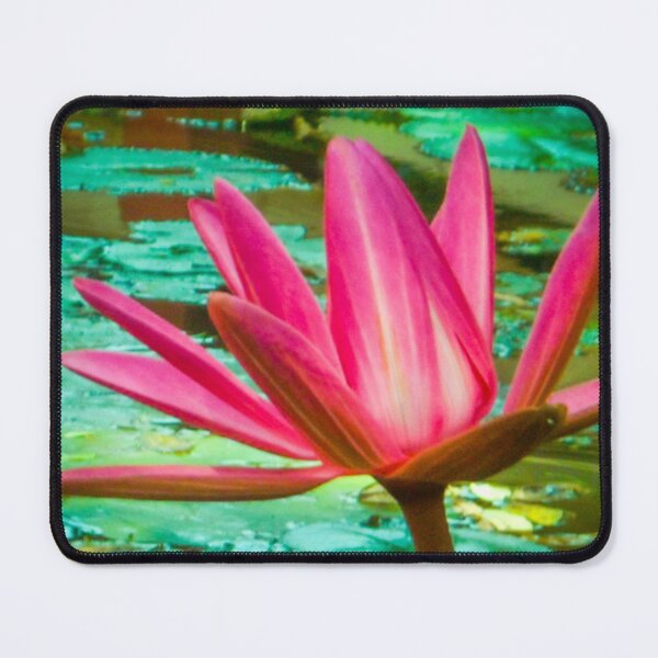 Item preview, Beautiful Big Lotus Flower designed and sold by NikitaAg.