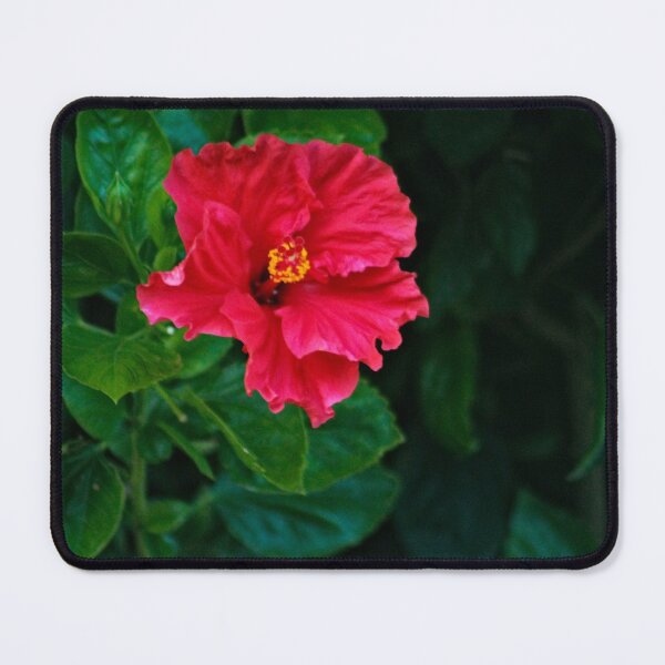 Item preview, Red Hibiscus Exotic Tropical Flower designed and sold by worldways.