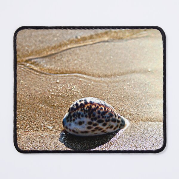 Item preview, Spotted Tiger Cowrie Shell Seashore Wet Sand designed and sold by worldways.