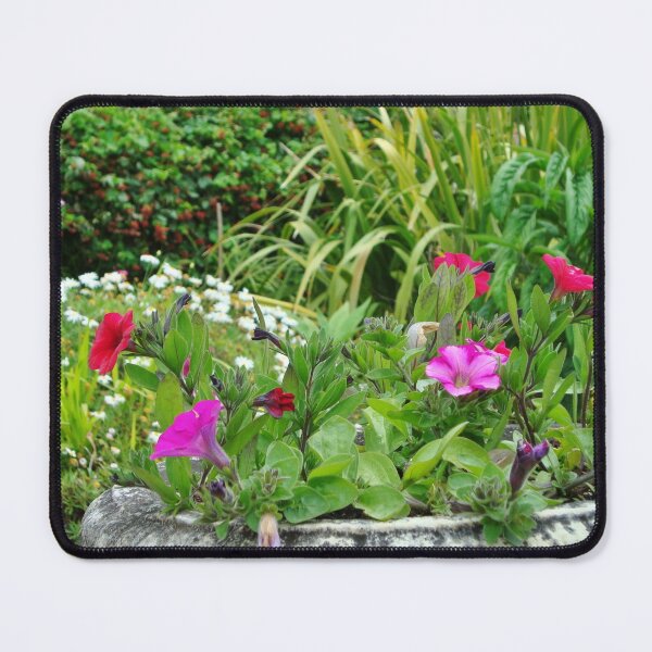 Item preview, Geraniums - Tresco Abbey Gardens, Scilly Isles designed and sold by niki2028.