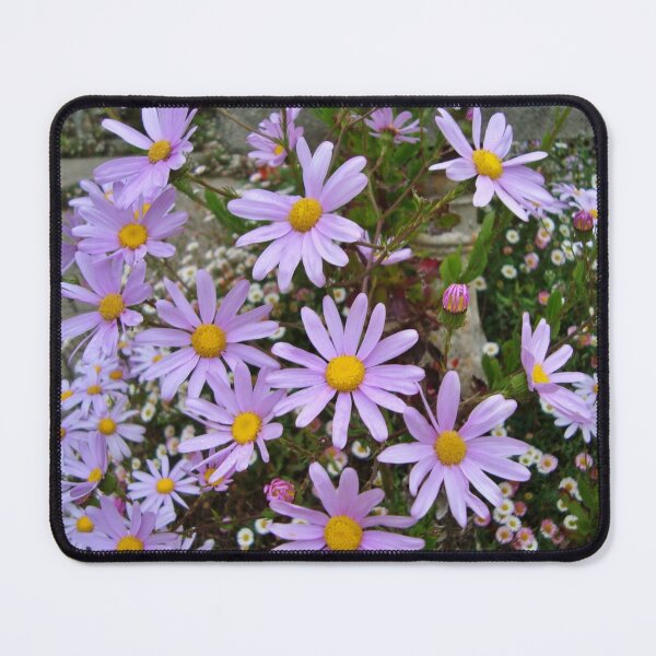 Item preview, Aster - Tresco Abbey Gardens designed and sold by niki2028.