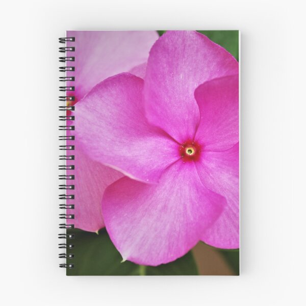 Item preview, Purple Pink Flower top view designed and sold by CCC2021.