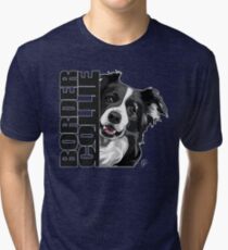 BORDER COLLIE Tri-blend T-Shirt