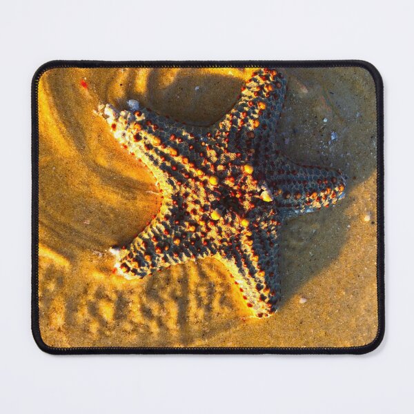 Item preview, Starfish designed and sold by Hudson-Art.