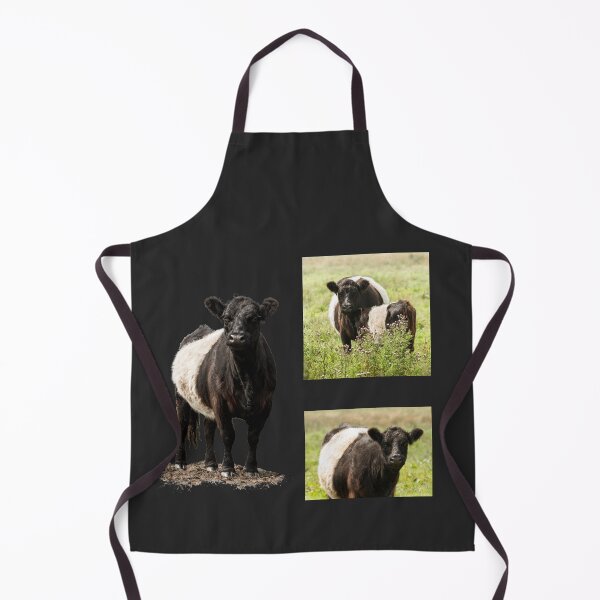 Item preview, Belted Galloway Cow Collection designed and sold by Jane Stanley Photography.