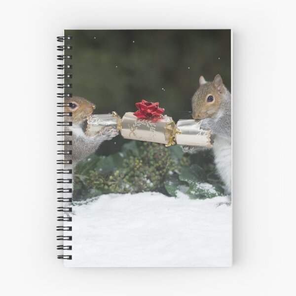 Aperçu de l'œuvre Amusement de Noël Cracker Squirrel! créée et vendue par Junkyardmax.