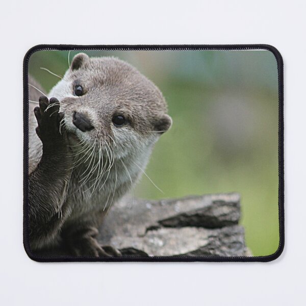 Item preview, Otter Dreams designed and sold by Ladymoose.