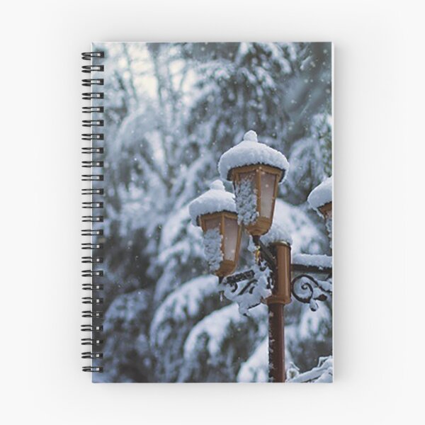 Item preview, Lamppost under the snow designed and sold by OrionPhotograph.