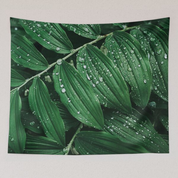 Item preview, Leaves and dewdrops designed and sold by OrionPhotograph.