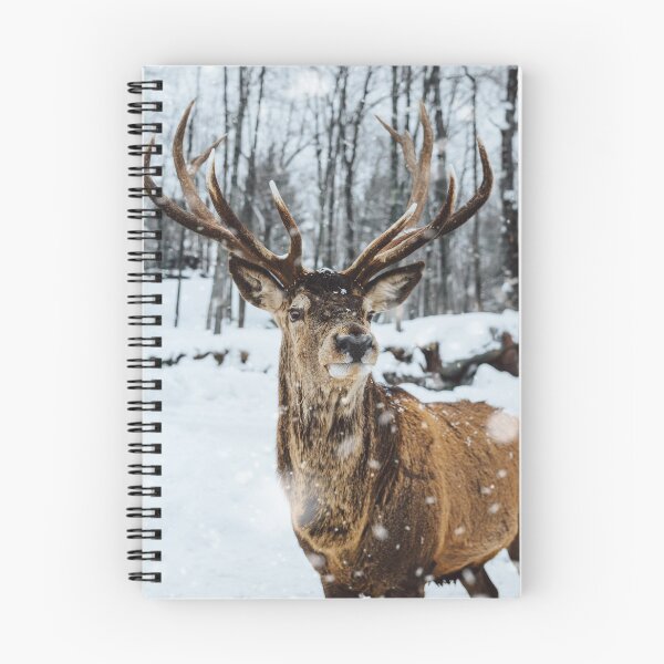 Item preview, Deer in the snow designed and sold by OrionPhotograph.