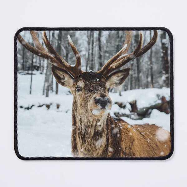 Item preview, Deer in the snow designed and sold by OrionPhotograph.