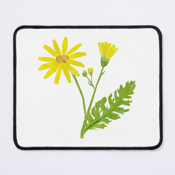 Item preview, Flower (cushag/ragwort) designed and sold by BabbanGaelg.