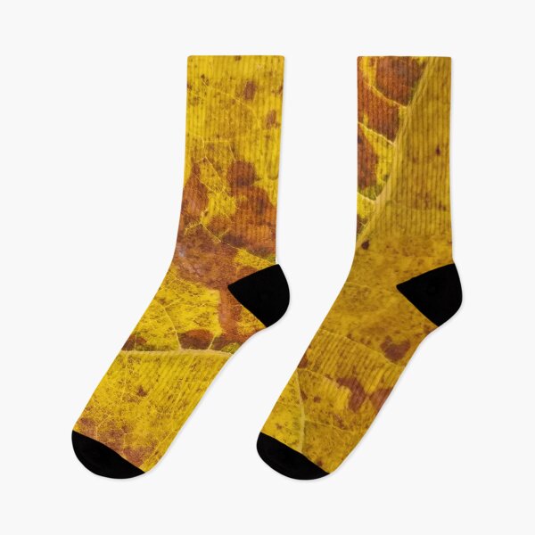 Item preview, Vine Leaf in autumn fall macro 2 designed and sold by Anna Lemos.