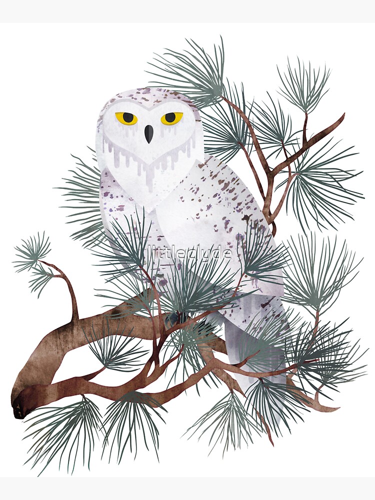 Snowy by littleclyde