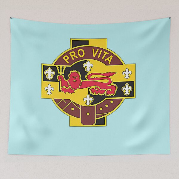 Item preview, 136th Combat Support Hospital  designed and sold by SaltyFNG.