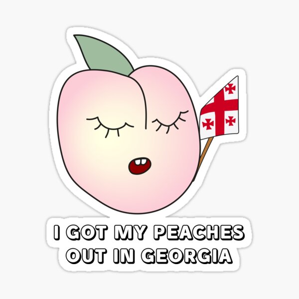 Peaches Peaches Lyrics Sticker for Sale by sparkerzed