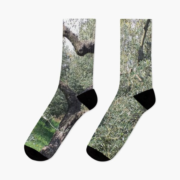Item preview, Olive tree Mediterranean Grove 2 designed and sold by Anna Lemos.