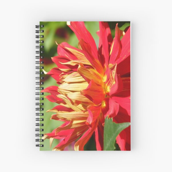 RED YELLOW DAHLIA FLOWER PETALS Spiral Notebook