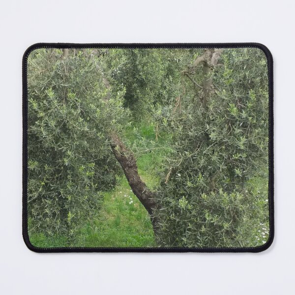 Item preview, Olive tree Mediterranean Grove designed and sold by Anna Lemos.