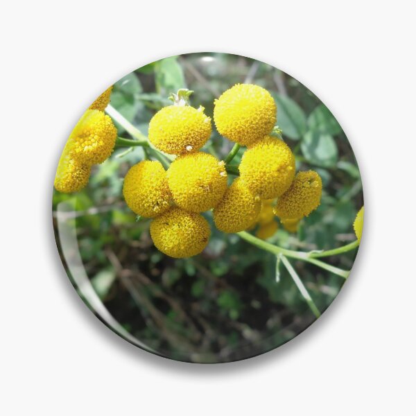 Item preview, "Tansy"_vratić designed and sold by Ana Belaj.