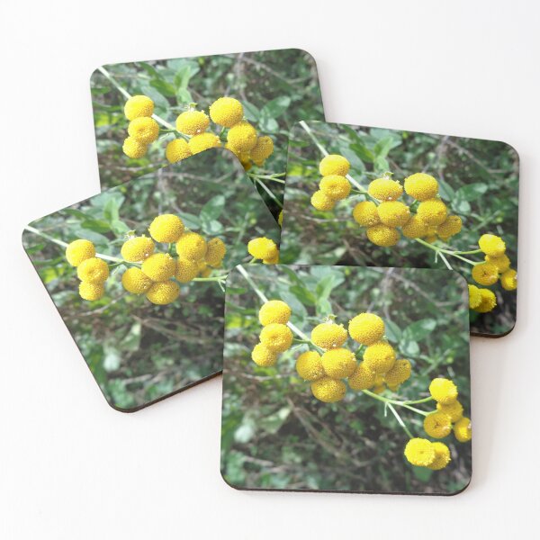 Item preview, "Tansy"_vratić designed and sold by Ana Belaj.