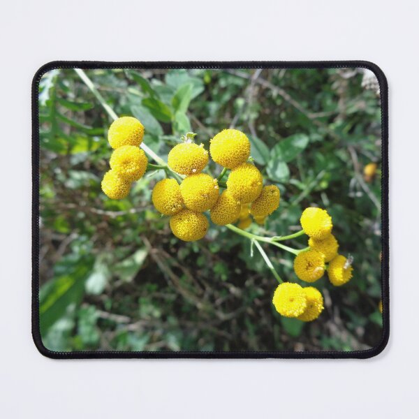 Item preview, "Tansy"_vratić designed and sold by Ana Belaj.