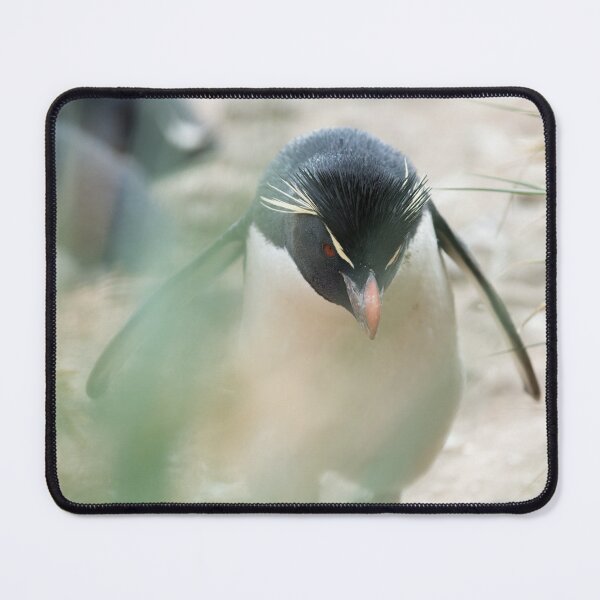 Item preview, On a mission designed and sold by Mark Prior.