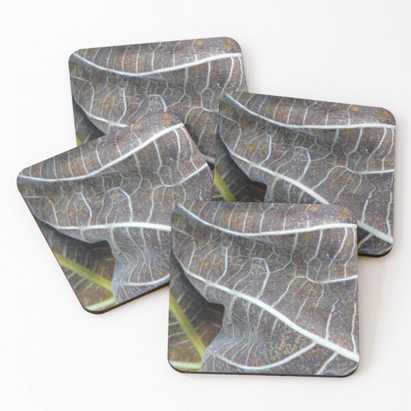 Item preview, Withered Fig Leaves Autumn Fall texture macro 1 designed and sold by Anna Lemos.