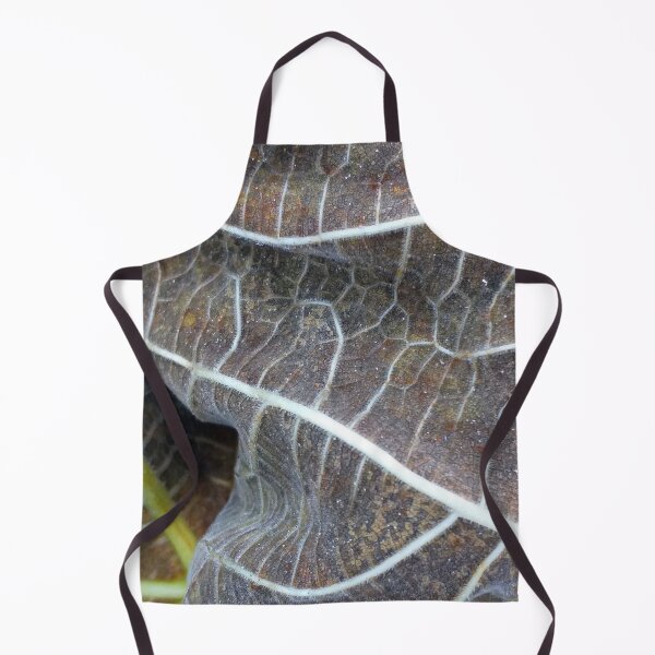Item preview, Withered Fig Leaves Autumn Fall texture macro 1 designed and sold by Anna Lemos.