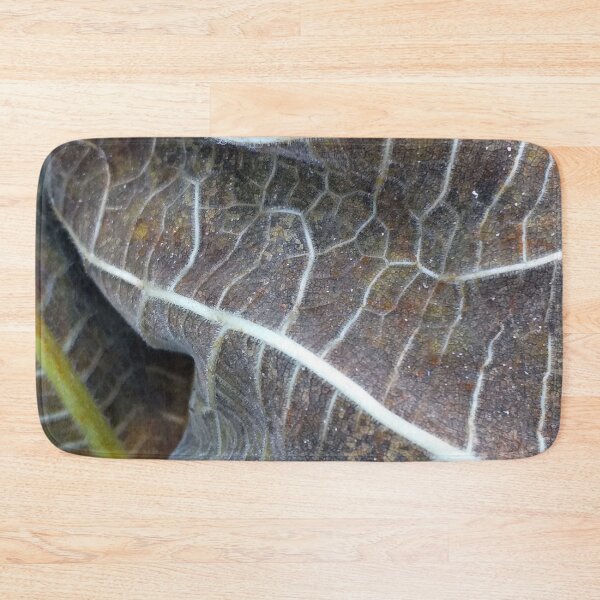 Item preview, Withered Fig Leaves Autumn Fall texture macro 1 designed and sold by Anna Lemos.