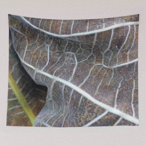 Item preview, Withered Fig Leaves Autumn Fall texture macro 1 designed and sold by Anna Lemos.