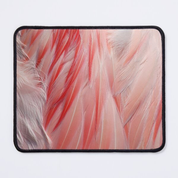 Item preview, Flamingo Coral Pink Feathers Photograph designed and sold by HotHibiscus.