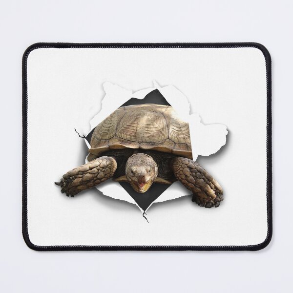 Item preview, Sulcata Burst designed and sold by misimichu.