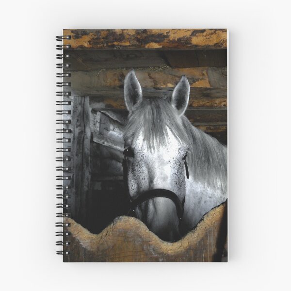Item preview, Grey Percheron Beauty III designed and sold by alabca.