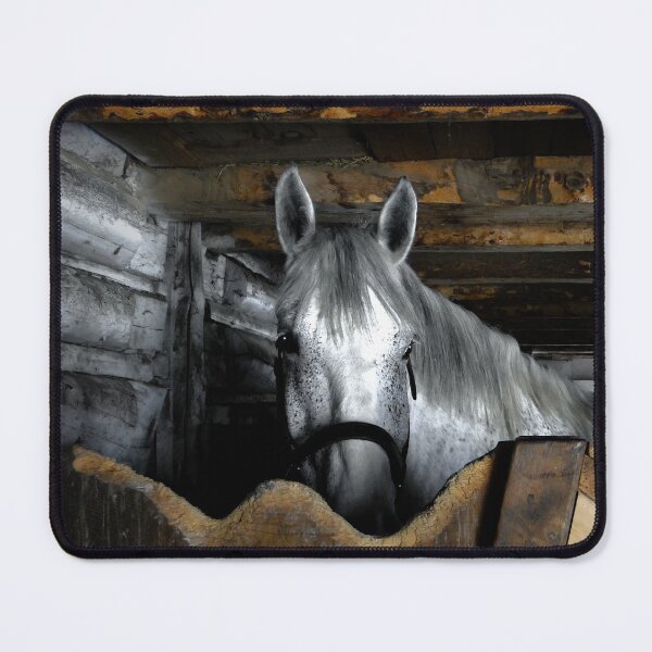 Item preview, Grey Percheron Beauty III designed and sold by alabca.
