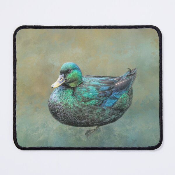 Item preview, Cayuga Duck designed and sold by Elisabeth Lucas.